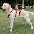 thumbnail image 4 of Pebbuoy Pet Vest Harness Escape-proof Breathable Step-in Adjustable Buckle No Pull Large Dog Chest Harness Pet Supplies, 4 of 8