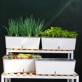 thumbnail image 4 of Lazy Flower Pot  Rectangular Window Sill With Visible Water Level  Plastic Vegetable Pot  Medium Suction Basin, 4 of 15