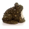 thumbnail image 2 of Garden Two Tone Green Toad Polyresin Toad Hollow 44112, 2 of 3