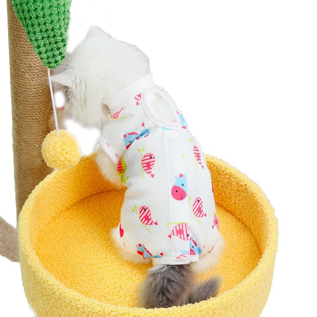 EastVita Cat Recovery Suit Breathable Cat Surgery Recovery Suit Abdominal Wounds Skin Diseases Protection For Cats After Surgery Washable Cat Surgery Suit For Post-Operative Healing Process
