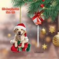 thumbnail image 1 of Gato Colgando Adorno navideño plano de acrílico con forma de coche, con cordón para árbol de Navidad y decoración del hogar, 1 unidad, rojo Rkxzt, 1 of 5
