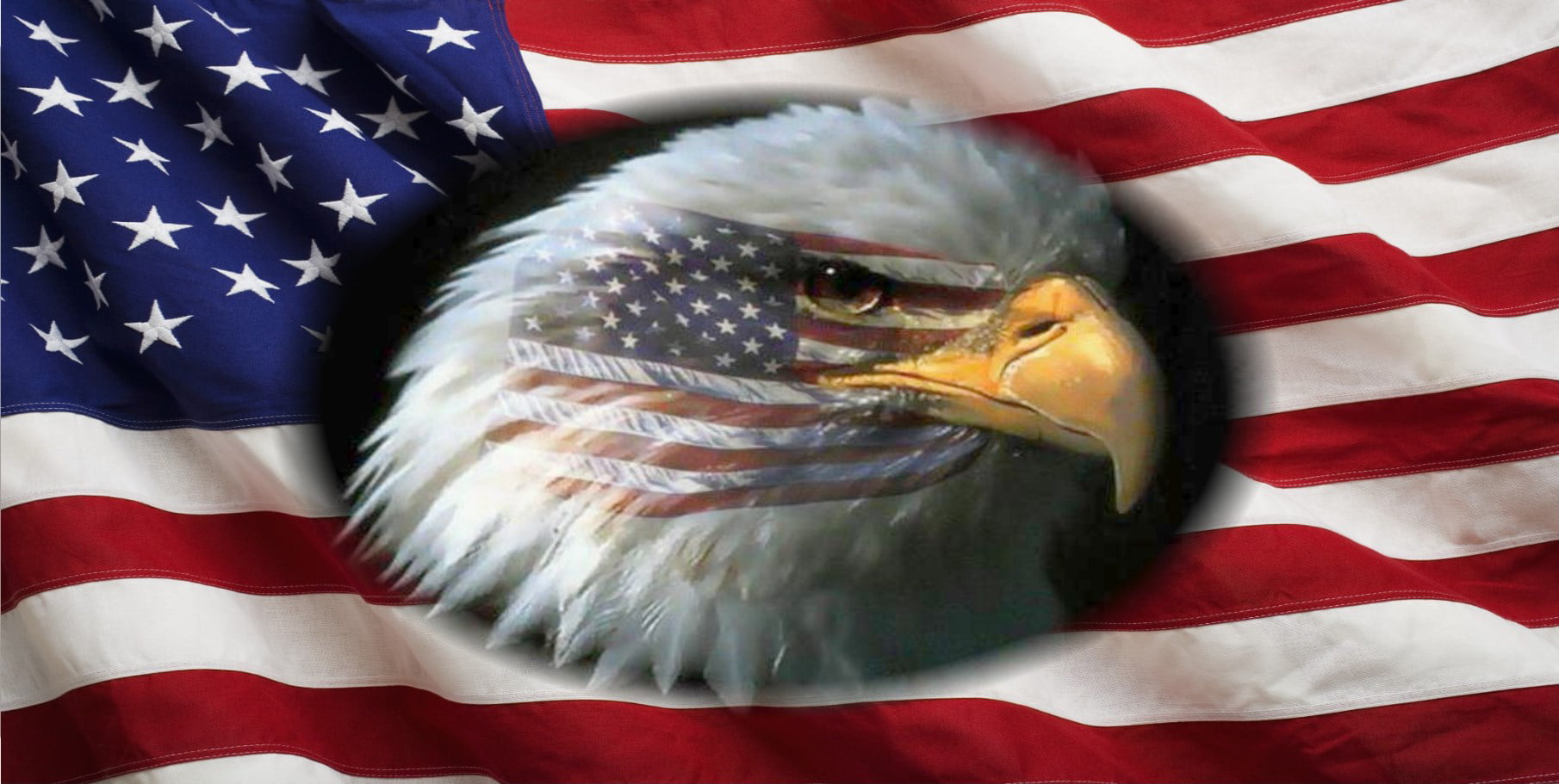Patriotic Eagle USA United We Stand Aluminum Vanity License Plate Tag 6" x 12" 