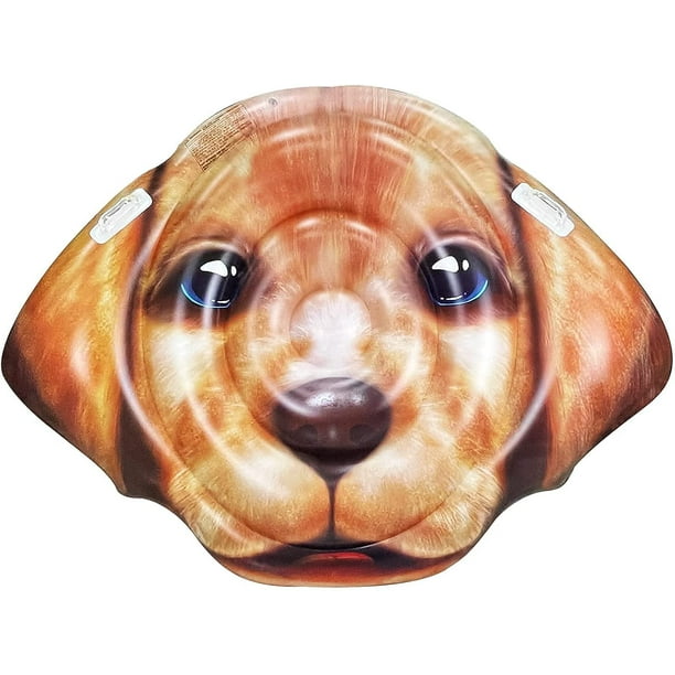 Dog floaties walmart sales