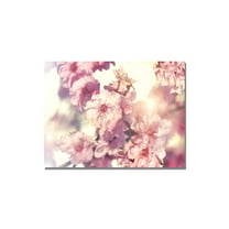 Trademark Fine Art "Spring Melody" Canvas Art by Beata Czyzowska