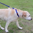 thumbnail image 4 of HAHDAXIA Martingale Collar for Dogs, Reflective Heavy Duty Dog Collar for Safety, Quick Release Buckle, Adjustable Nylon Collars for Puppy Dogs Walking Training, Navy Blue,XS, 4 of 7