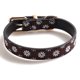 thumbnail image 1 of Hebillas para cinturón de perro Apuakthei Buckles Daisy esparcidas en negro, blanco y amarillo, 1 of 5