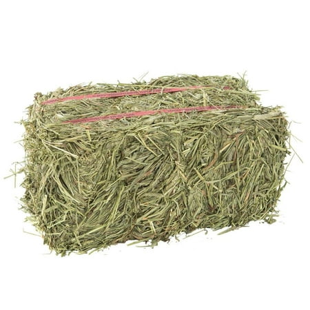 Grandpa'S Best Timothy Hay Bale, 5Lbs, This Soft-Textured Formulation Is High In Fiber And Low In Protein, Stimulating Digestion And Creating A.., By GrandpaS