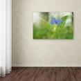 thumbnail image 3 of Trademark Fine Art 'Asiatic Dayflower' Canvas Art by PIPA Fine Art, 3 of 3