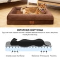 thumbnail image 2 of SheSpire Dog Beds for Medium Dogs, Orthopedic Dog Bed, Washable Dog Bed with [Removable Bolster], Waterproof Dog Bed with Nonskid Bottom, Doggy Bed, Medium Dog Bed, 2 of 6
