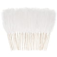 thumbnail image 1 of Hierba artificial de pampa blanca, 50 unidades, para bodas en casa, 1 of 9