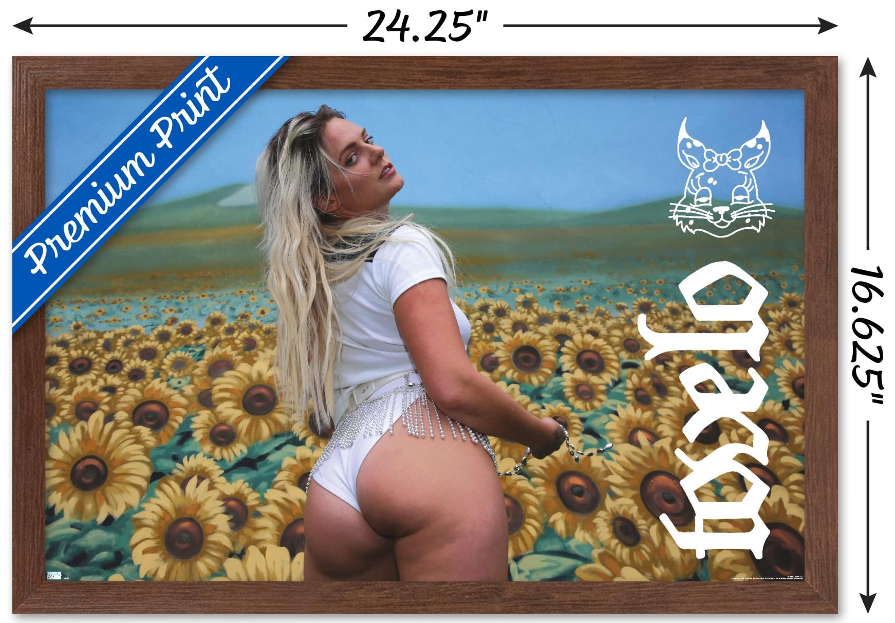 Tove Lo - Sunshine Kitty Wall Poster, 14.725" x 22.375", Framed