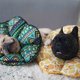 thumbnail image 2 of Collar de recuperación para perros, diseño lindo, collar protector para mascotas, verde, L, 2 of 6