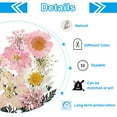 thumbnail image 3 of Dried Pressed Real Flowers Pressed Flowers Dry Leaves for DIY Crafts Pink, 3 of 6
