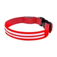 thumbnail image 2 of FeiFu LED Pet Collar for Dogs Double Optical Fiber Luminous Collar USB Rechargeable Glow in the Dark Collar Adjustable Safety Collar for Night Walking, 2 of 6
