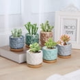 thumbnail image 3 of 6.5Cm Ceramic Succulent Pot With Bamboo Tray Owl Set Of 6, Cactus Plant Planter Cache Pot Planter Container Gift For Birthday Wedding, 3 of 7