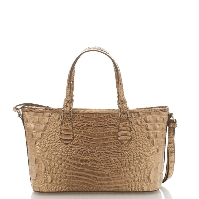 Brahmin mini cheap asher satchel