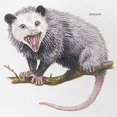 thumbnail image 2 of CafePress - Opossum Possum Animal - Adjustable Unisex Printed Trucker Hat with Mesh Back, 2 of 11
