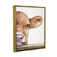 thumbnail image 3 of Stupell Industries Baby Calf Cow Resting Head Up-Close Rural Painting Metallic Gold Floating Framed Canvas Print Wall Art, Design by George Dyachenko, 3 of 9