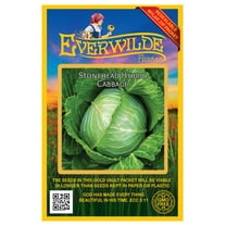 Everwilde Farms - 50 Stonehead Hybrid Cabbage Seeds - Gold Vault Seed Packet