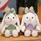 thumbnail image 1 of 2022 Cute / Soft / Bunny Plush Toy / Pastoral Style Bunny Doll Wearing Skirt and Hair Card / Children's Birthday Gift zhangyuxiang LED, 1 of 2