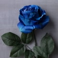 thumbnail image 2 of 12 Pack: Royal Blue Rose Stem by Ashland, 2 of 4