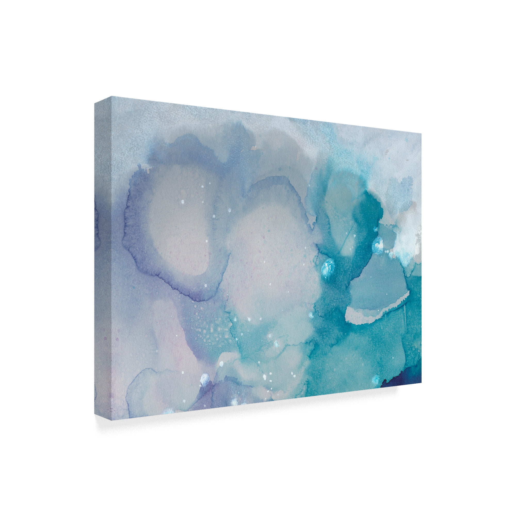 Trademark Fine Art 'Ice Crystals I' Canvas Art by Joyce Combs