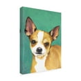 thumbnail image 2 of Trademark Fine Art 'Dog Portrait Chihuahua' Canvas Art by Jill Sands, 2 of 4