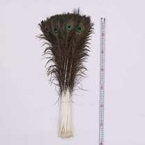 Qhkie 25-130cm Peacock Feathers – Premium Natural Decor & Crafting Material for Weddings, Parties, and Home Decor – Ideal for Event Planners, DIY Enthusiasts & Designers