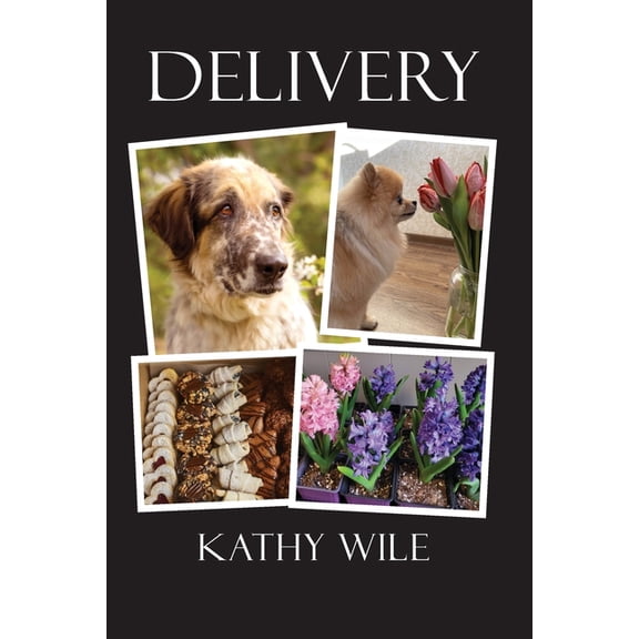 Delivery, (Paperback)