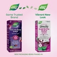 thumbnail image 4 of Nature's Way Cold + Flu Relief Syrup, Umcka, Non-Drowsy, Berry Flavored, Unisex, 4 Fl Oz, 4 of 9