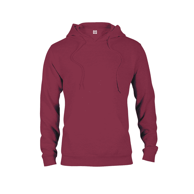 Delta Sweat-shirt à Capuche Homme en Molleton Lourd