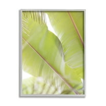Stupell Tropical Palm Modern View Botanical & Floral Photography Gray Framed Art Print Wall Art