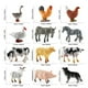 thumbnail image 2 of Figura Corral Granja Vida Silvestre para Niñas Y Pequeños (aves Corral), 2 of 9
