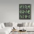 thumbnail image 3 of Trademark Fine Art 'Herb Chart on Black' Canvas Art by Chris Paschke, 3 of 3