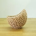 thumbnail image 3 of Clever Contraption Voronoi Artistic Succulent Planter Vase – Small, 3 of 9