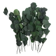 Preserving Dried Eucalyptus Stems Fall Indoor Plants Artificial Flower Household Decorate Preserved