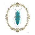thumbnail image 2 of Wiens, James 12x14 White Modern Wood Framed Museum Art Print Titled - Adorning Coleoptera VIII, 2 of 4