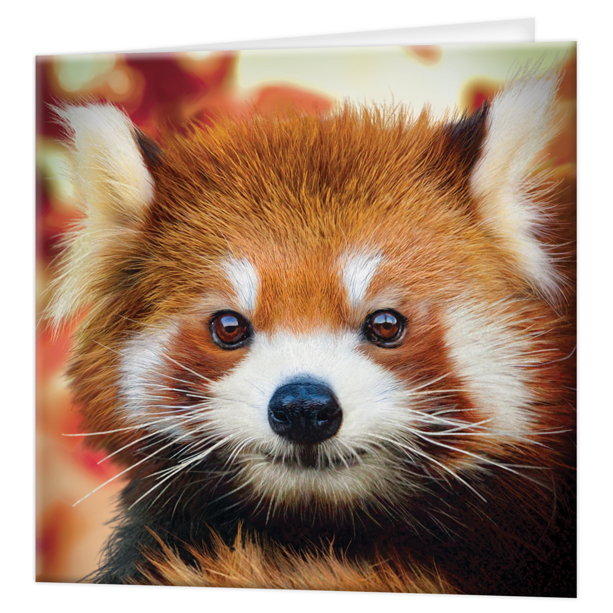 3D Postcard Lenticular Greeting Card RED FOX 