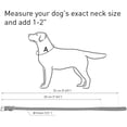 thumbnail image 3 of Rolled Leather Dog Collar for Small Pets - Durable Steel D-Ring and Metal Buckle - Bright, Comfortable Accessory, 3 of 3