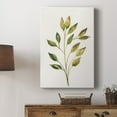 thumbnail image 5 of Single Twig II Premium Gallery Wrapped Canvas - Ready to Hang, 5 of 9