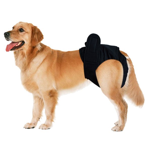 Pantalones Fisiológicos para Mascotas Salvador Pantalón Sanitario 2 Piezas Femeninos