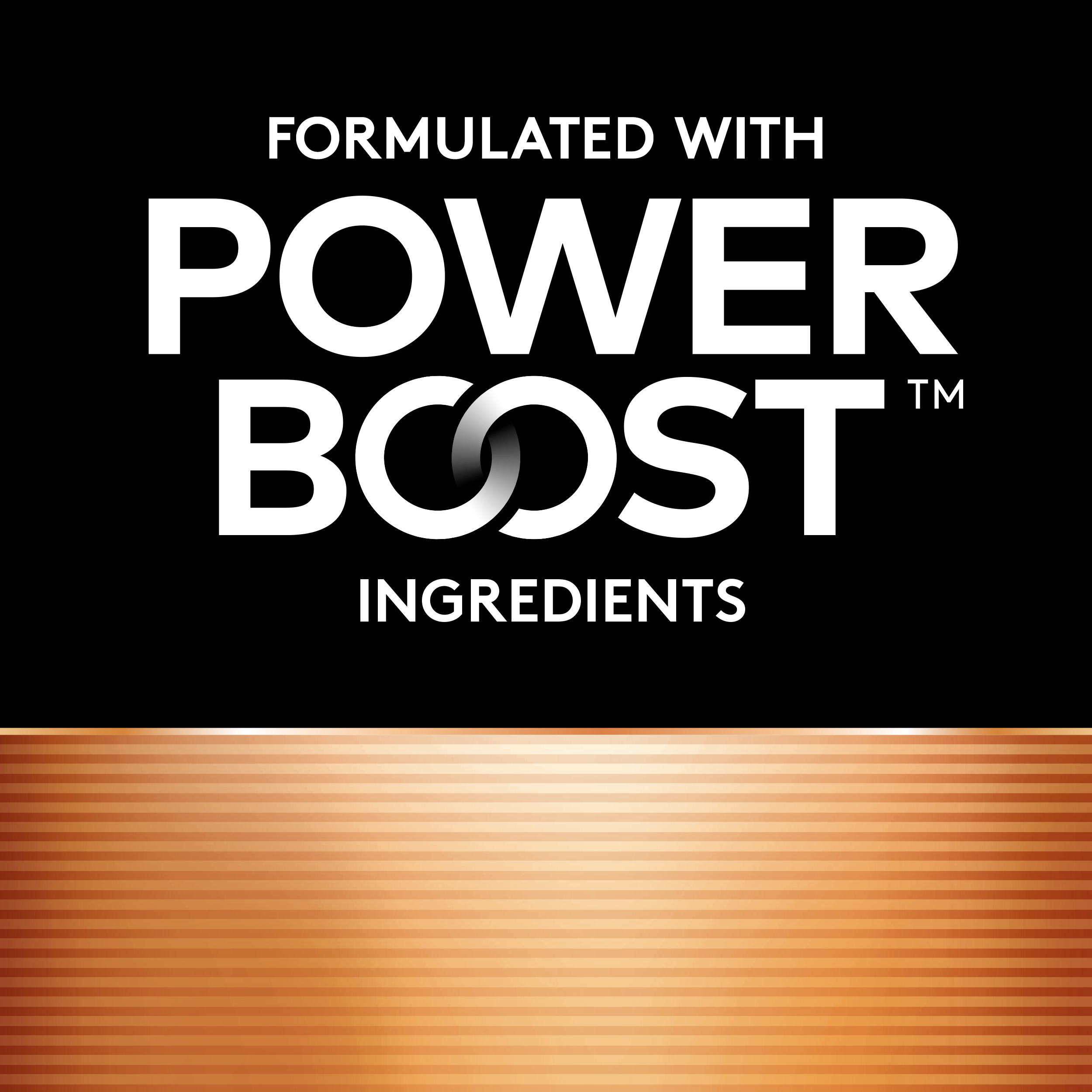 Duracell Coppertop AAA Battery with POWER BOOST™, 16 Pack Long-Lasting Batteries - image 4 of 9