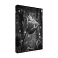 thumbnail image 4 of Trademark Fine Art Dorte Irene Sattrup Greta Garbo Canvas Wall Art, 4 of 4