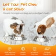 thumbnail image 3 of Cuencos para perros con alimentador lento, inserte el cuenco para perros y el cuenco para gatos, comedero lento para perros cortable con succiones, 3 of 5