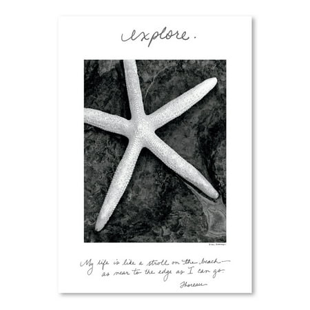 UPC: 0686457544801 | Americanflat Explore by Debra Van Swearingen Poster Art Print Print