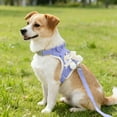 thumbnail image 4 of Harnais et Laisse pour Chat, Style Gilet Ajustable avec Pendentif, Sangle de Marche pour Chat, 4 of 4