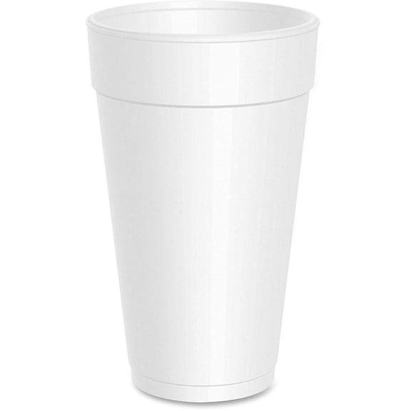 20 oz White Foam Drink Cups, Case of 500 Large Disposable Beverage Cups, Insulated Hot & Cold Cups for Coffee, Soda, Parties, Events & Food Service
