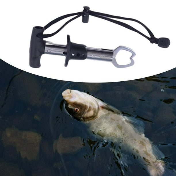 Durable Fish Lip Gripper 33lbs Portable Clip with Scale Professional Fish  Holder Soft Hand Fish Grabber Slip Fishing Lip Gripper Tool 155x19mm