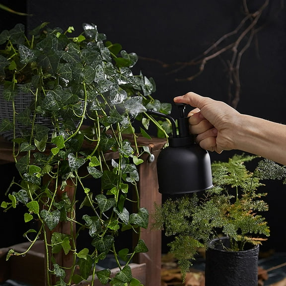 Zenithome Stainless Steel Spray Bottle Watering Can 300ml for Indoor Plants Bonsai Garden Houseplant Mister with Ergonomic Design Modern Gardening Tools