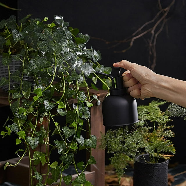 Arrosoir en Acier Inoxydable pour Plantes d'Intérieur Bonsaï Jardin Outils de Jardin Modernes